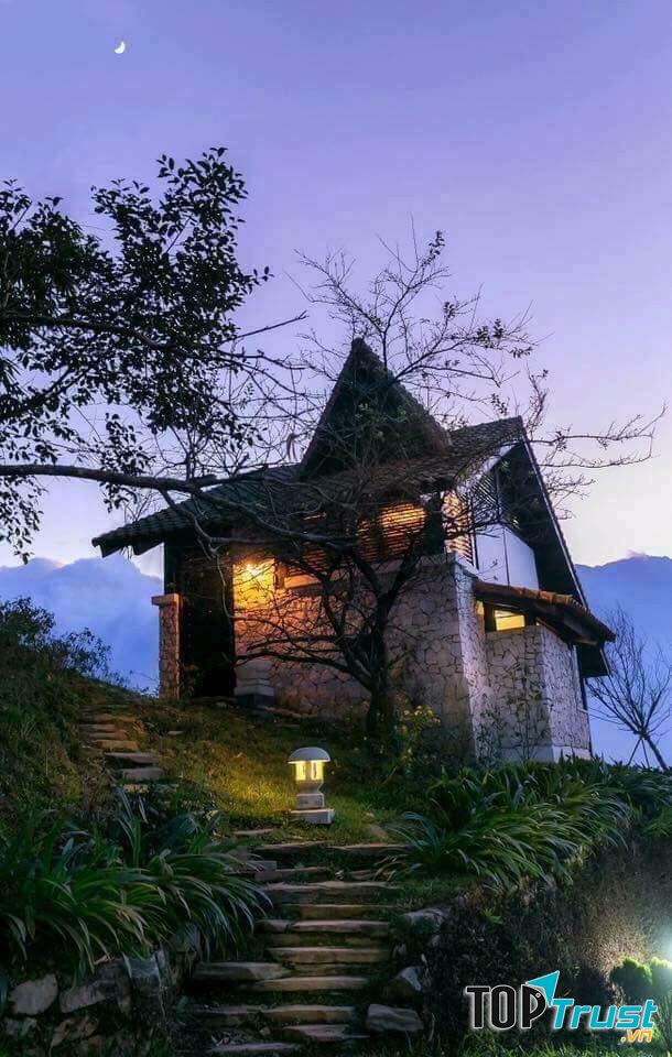 Đại Lý Máy Bay Aloha