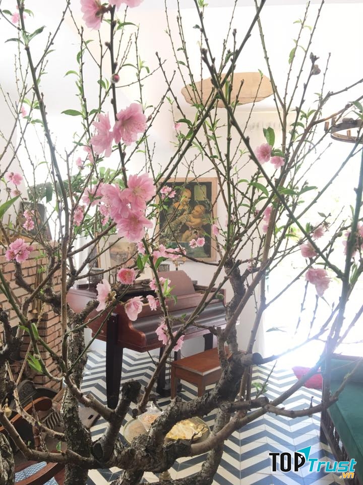Dalat Lacasa