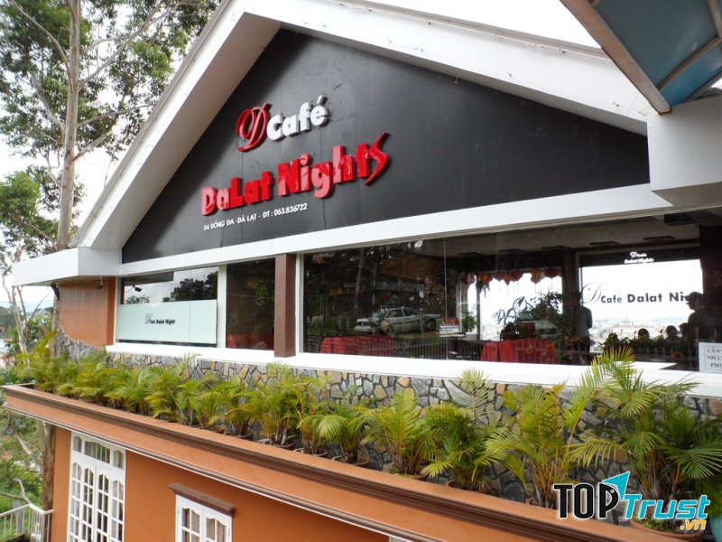 Dalat Nights