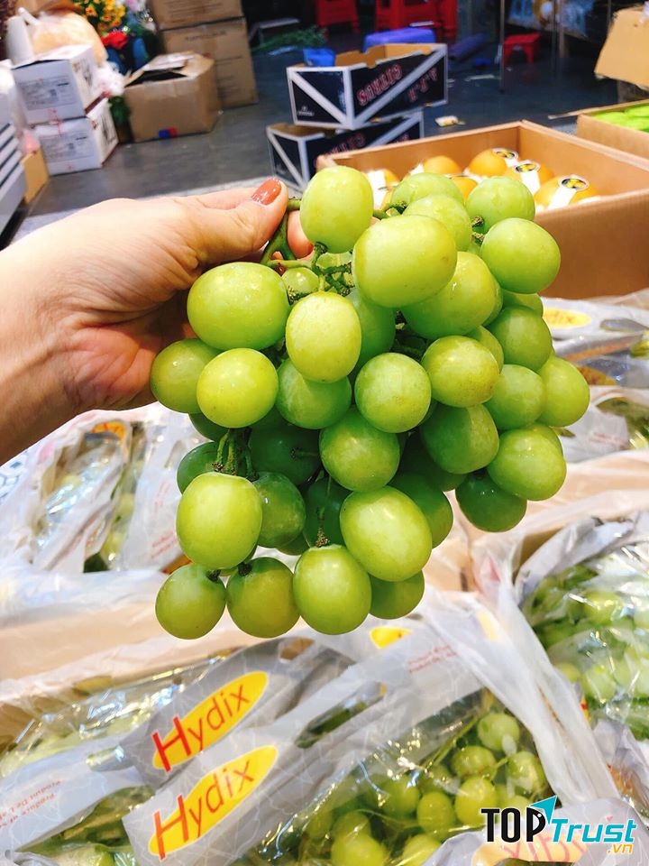 Dalat Shop - Mỹ Tho