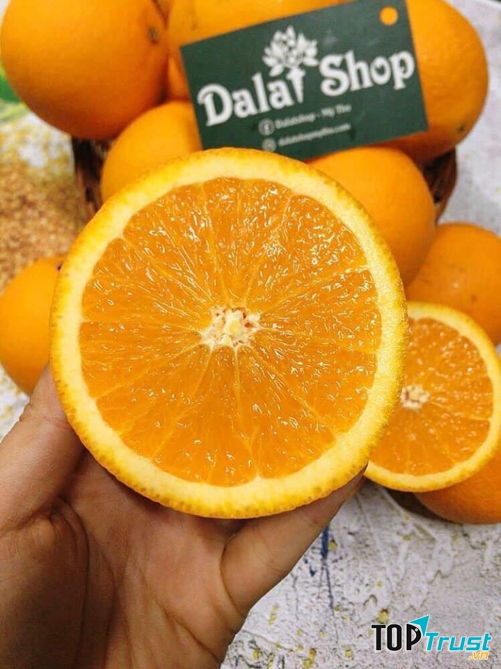 Dalat Shop - Mỹ Tho