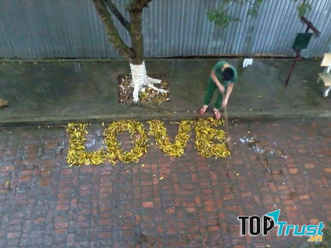 Đảm đang, chịu khó