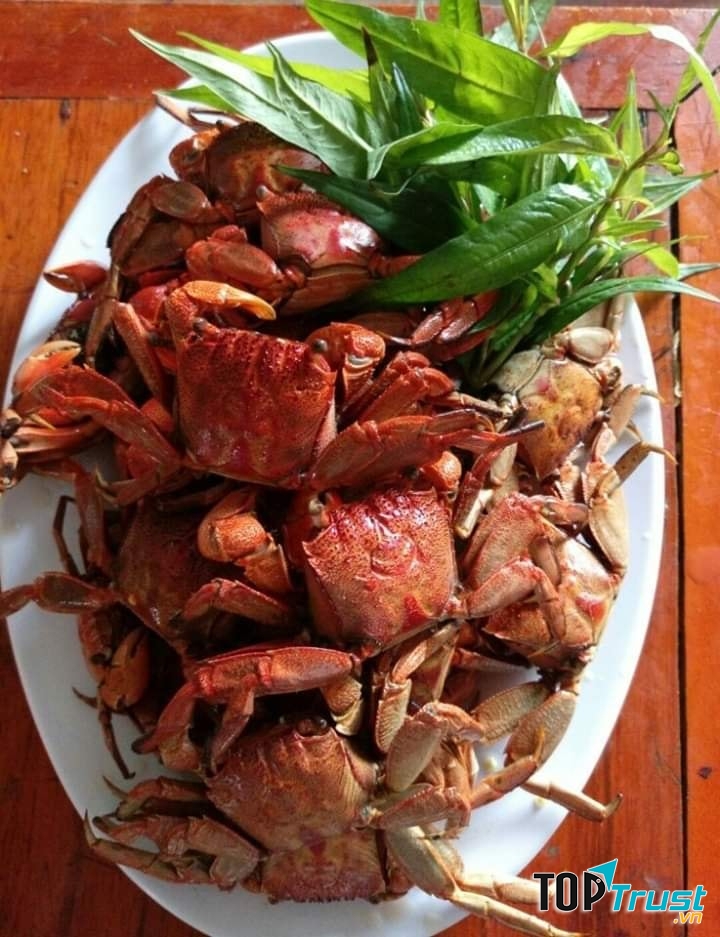 Đầm Thị Tường Homestay