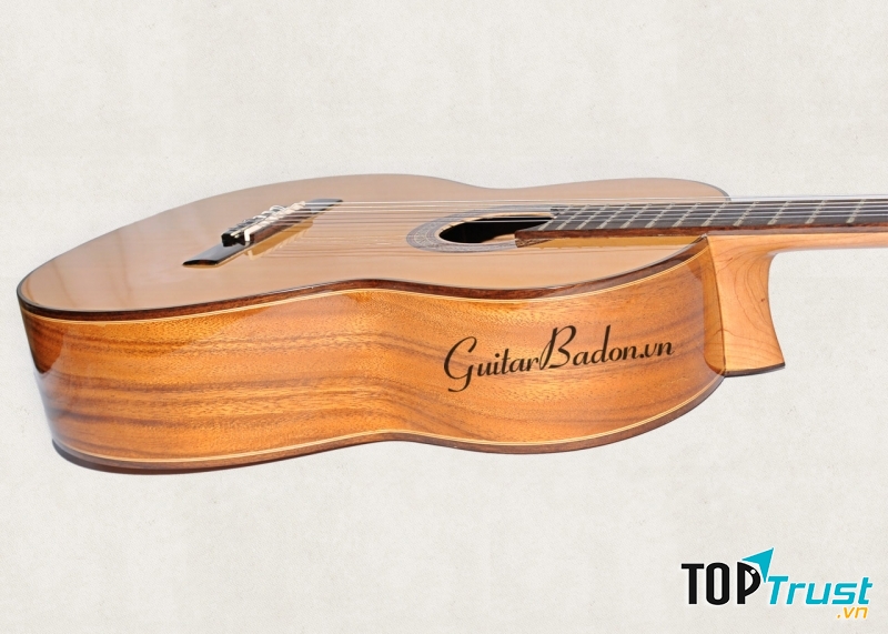 Đàn Guitar Classic C-550-D