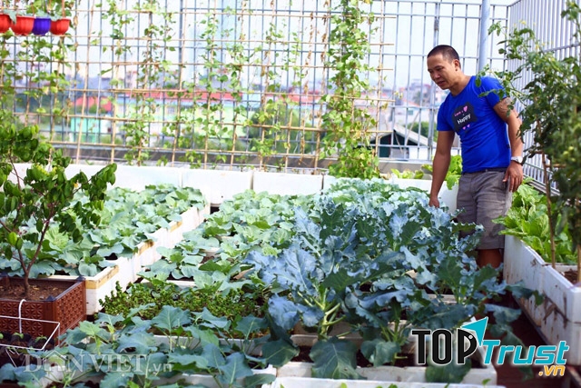 Ảnh minh họa (Nguồn intenet)