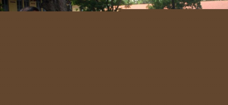 Ảnh minh họa (Nguồn internet)