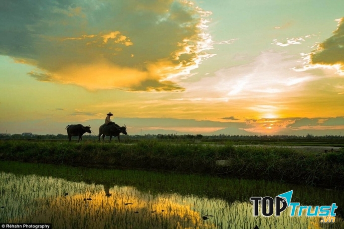 Ảnh minh họa (Nguồn internet)