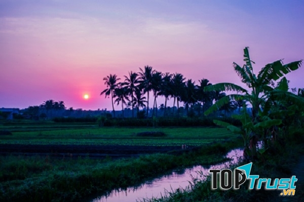 Ảnh minh họa (Nguồn internet)