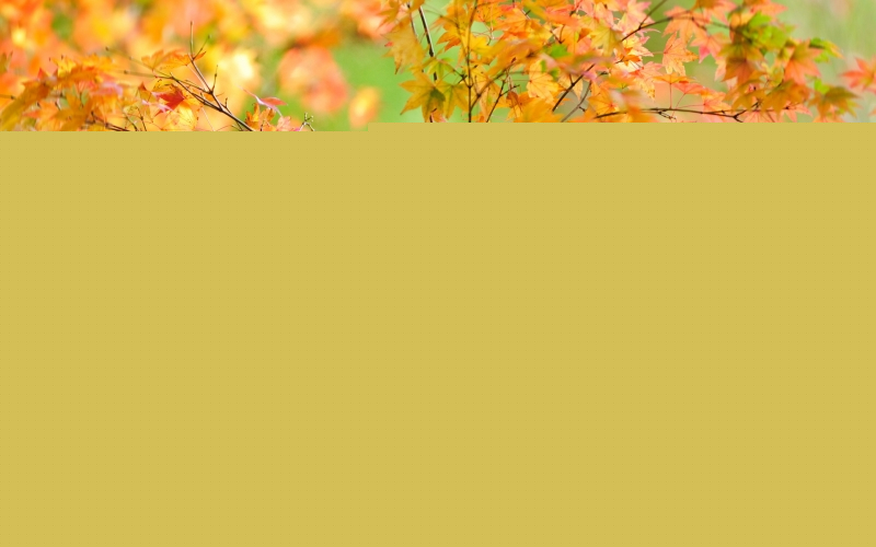 Ảnh minh họa (Nguồn internet)