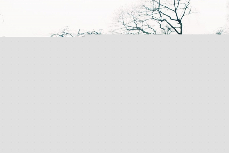 Ảnh minh họa (Nguồn internet)