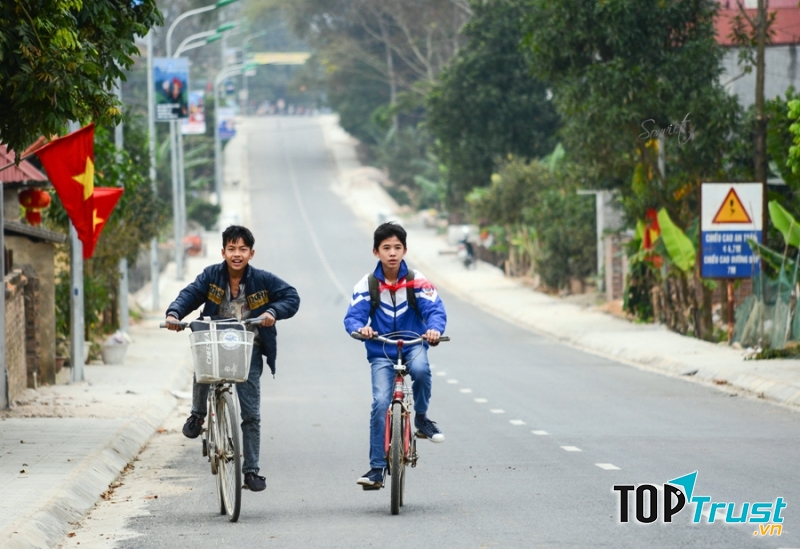 Ảnh minh họa (Nguồn internet)