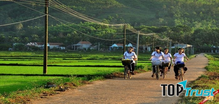 Ảnh minh họa (Nguồn internet)