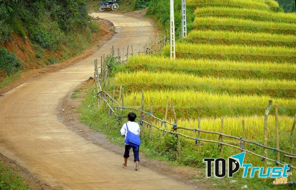 Ảnh minh họa (Nguồn internet)