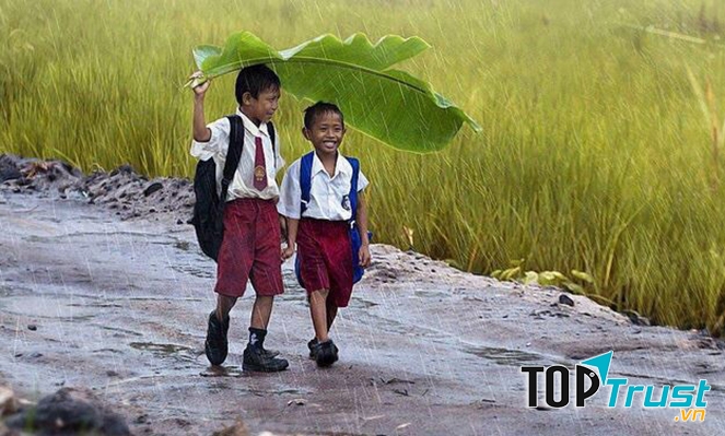 Ảnh minh họa (Nguồn internet)