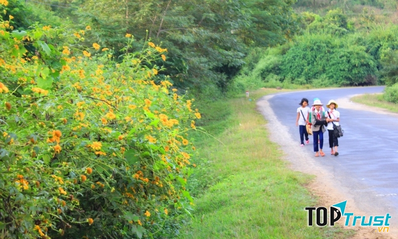 Ảnh minh họa (Nguồn internet)