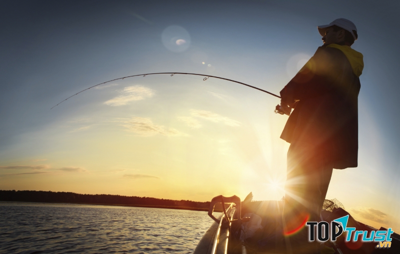 Ảnh minh họa (Nguồn intenet)