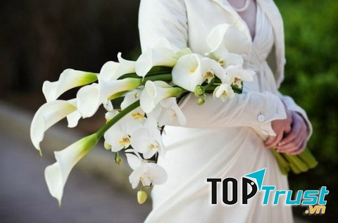 Dáng dài cầm tay