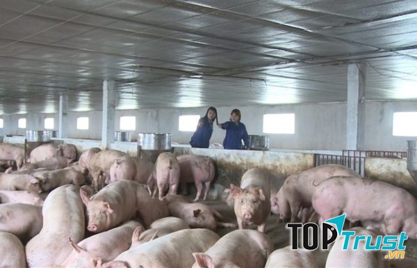 Đặng Thị Thùy Chinh