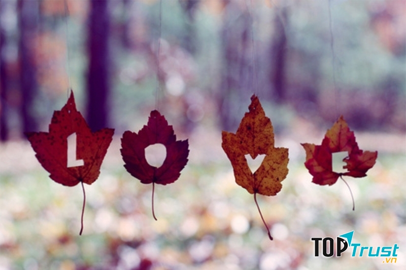 Ảnh minh họa ( Nguồn Internet)