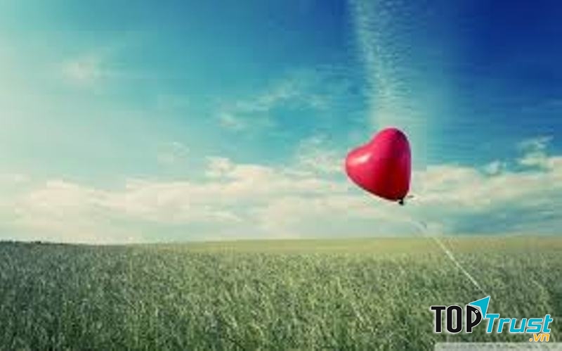 Ảnh minh họa ( Nguồn Internet)