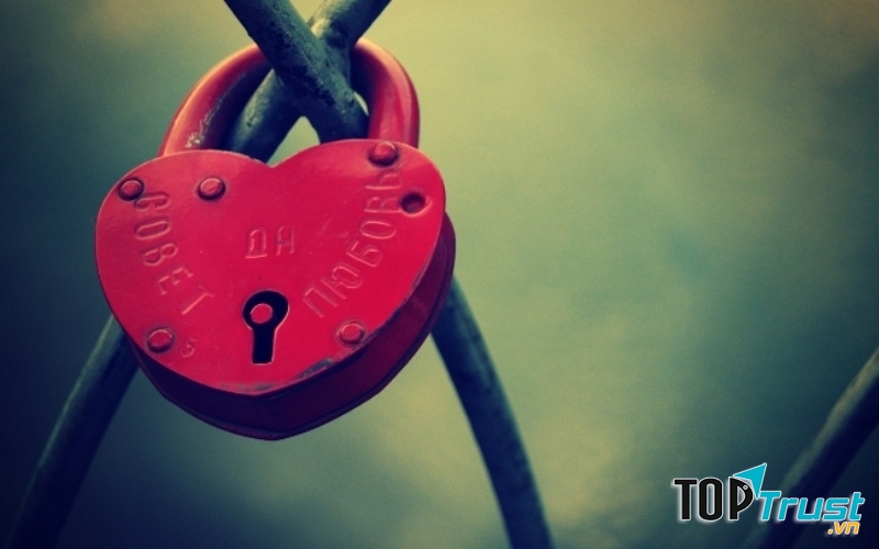 Ảnh minh họa ( Nguồn Internet)