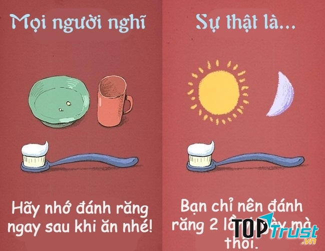 Đánh răng ngay sau mỗi bữa ăn