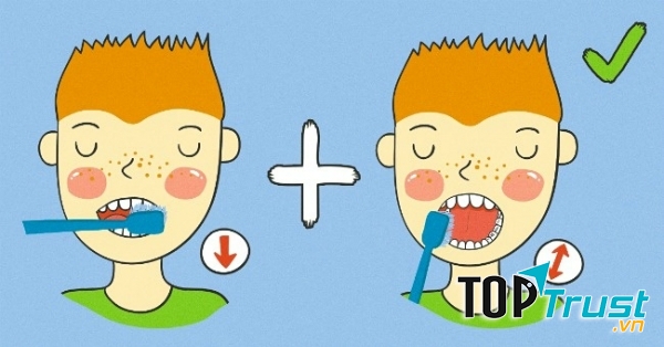 Thực hiện đánh răng theo chiều dọc vào xoay bàn chải khi đánh