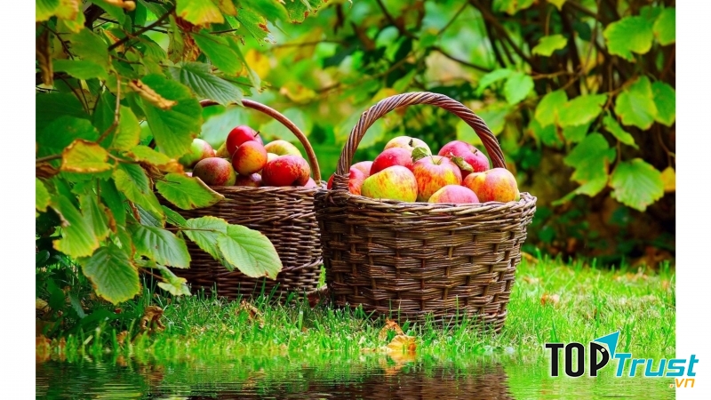 Năm mới thắng lợi mới.