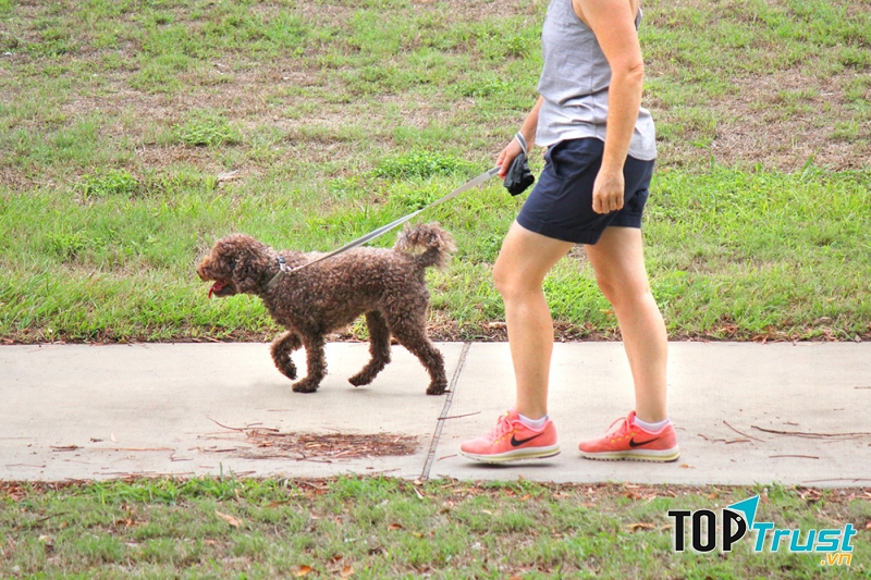 Ảnh minh họa - nguồn internet