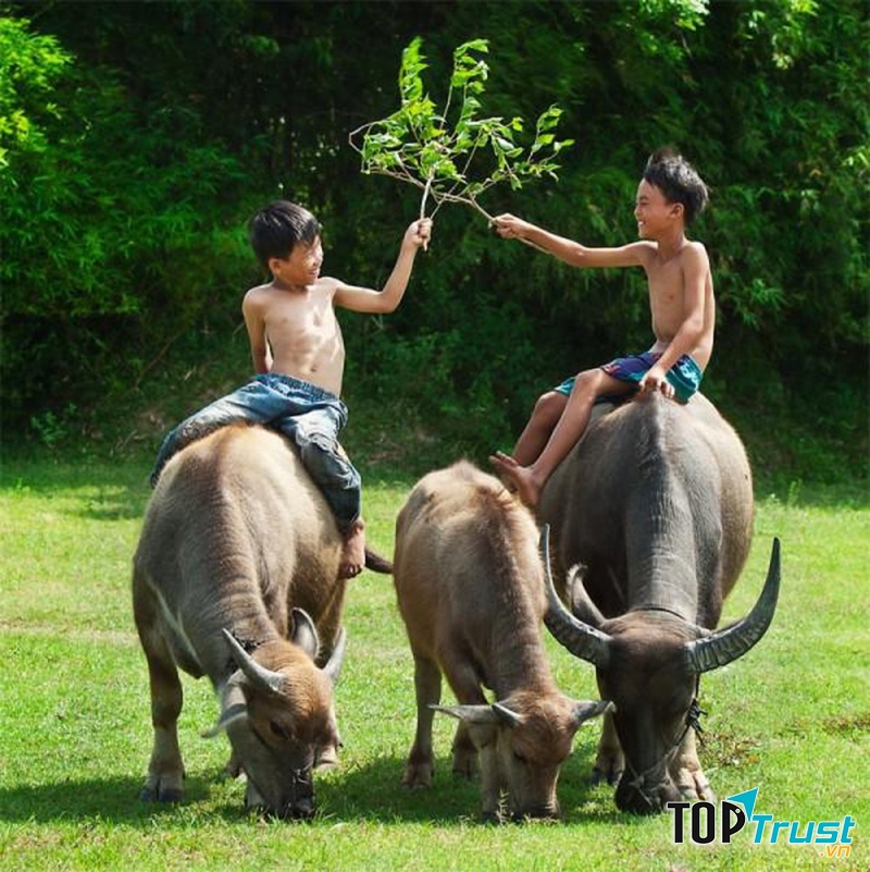 Ảnh minh họa (Nguồn Internet)