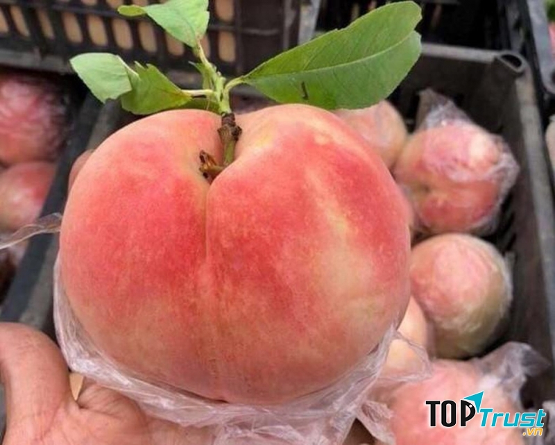 Loại đào da lông