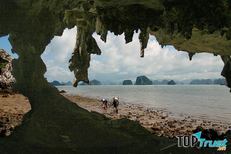 Hang động trên đảo Cái Bầu