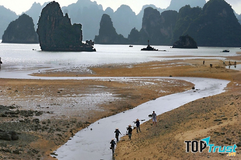 Bình minh trên đảo Cái Bầu