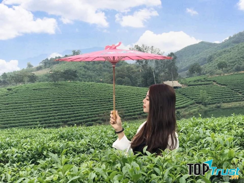 Tạo dáng bên đồi chè