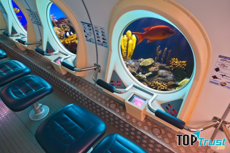 Du lịch trên cạn quá bình thường rồi, năm 2020  phải xuống nước dạo chơi mới sành điệu