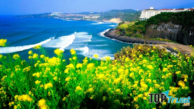 Đảo Jeju, Hàn Quốc