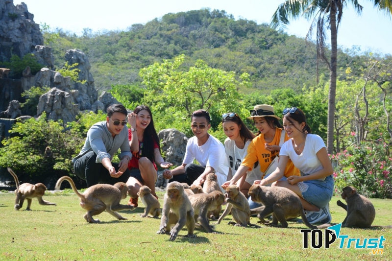 Du lịch đảo khỉ