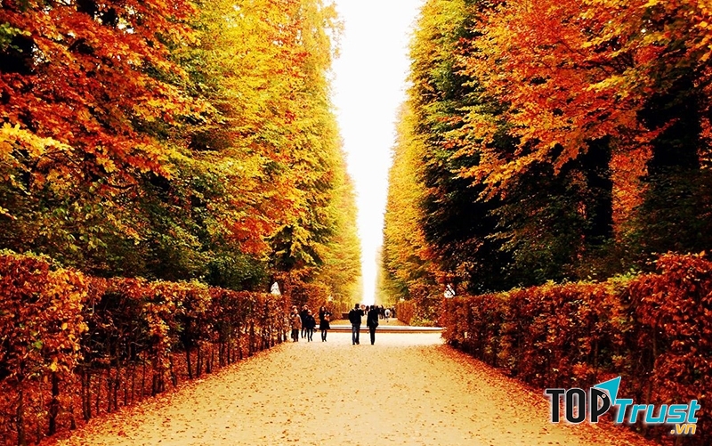 Liệu bạn có cưỡng lại được sự hấp dẫn của mùa thu nơi này.
