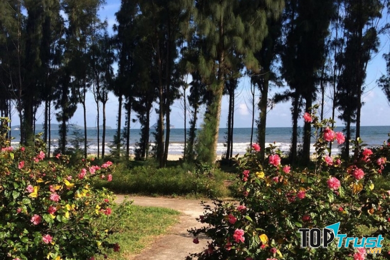 Con đường đầy hoa ở Ngọc Vừng