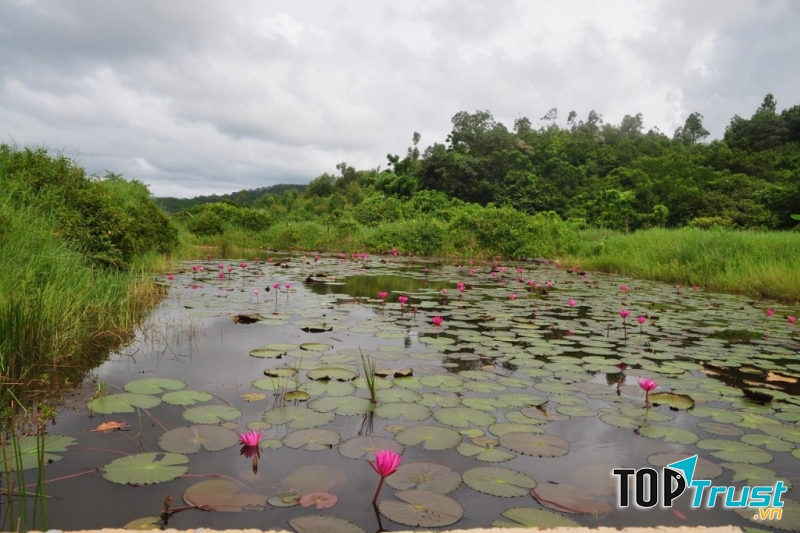 Đảo Ngọc Vừng