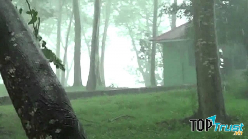 Đảo Ó Đồng Trường