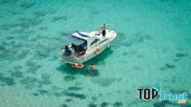 Nước trong nhìn xuyên thấu san hô