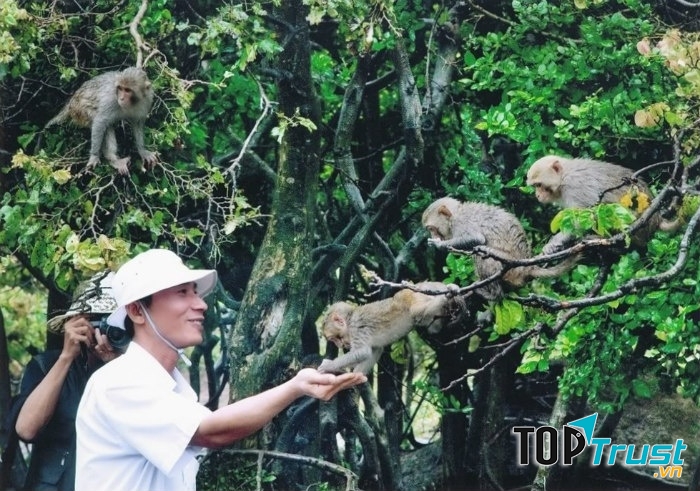 Đảo Rều - Cẩm Phả