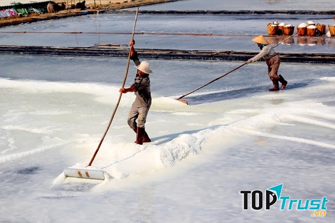 Nghề nghiệp của người dân trên đảo chủ yếu là làm muối