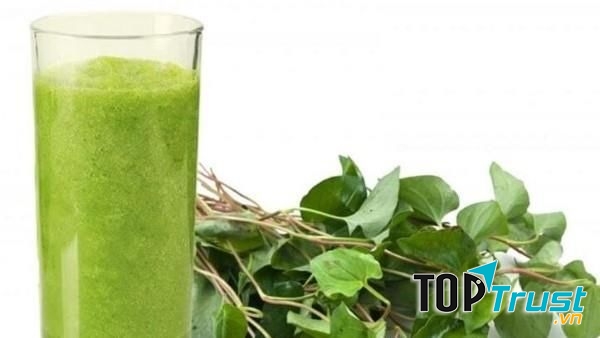 Đối với thanh niên nổi mụn trứng cá nhiều, lên đinh râu, mụn lở ngứa... có thể dùng 50 g hoặc hơn lá dấp cá bằng cách xay sinh tố lấy nước uống,