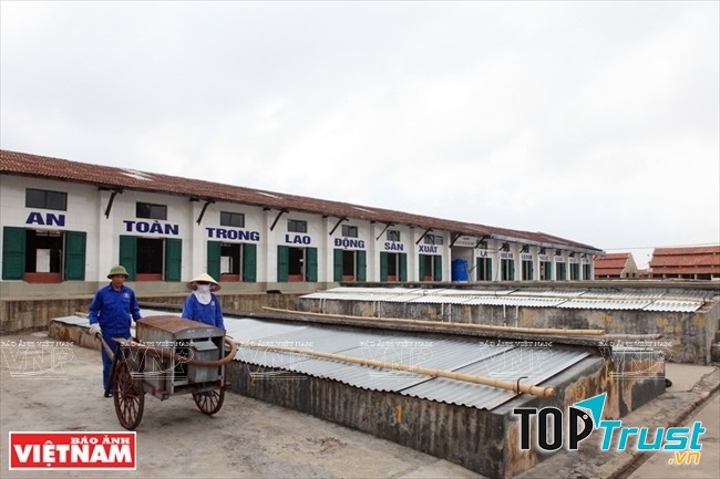 Công ty cổ phần chế biến dịch vụ thủy sản Cát Hải - Hải Phòng