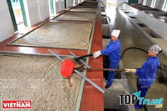 Công ty cổ phần chế biến dịch vụ thủy sản Cát Hải - Hải Phòng