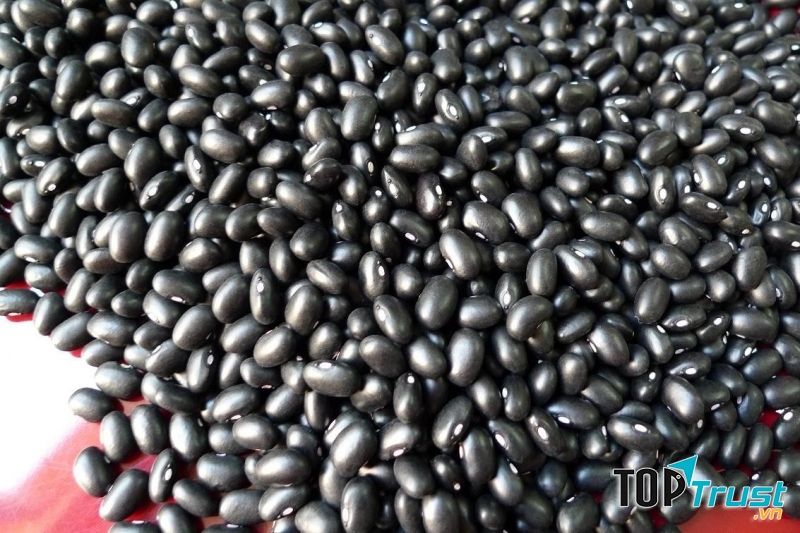 Đậu đen dùng để giải rượu