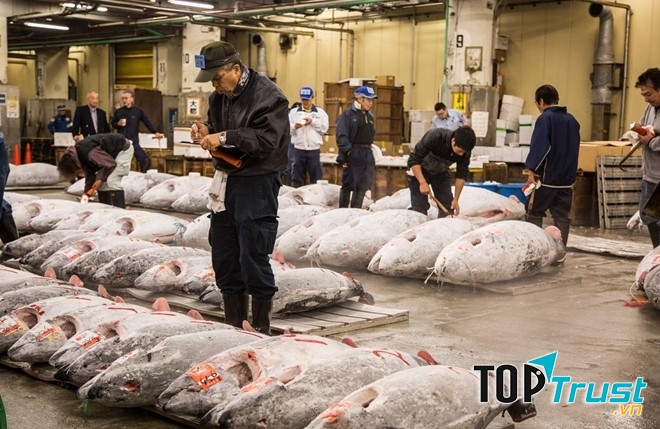 Chợ cá Tsukiji (Ảnh: Irinakalashnikova)