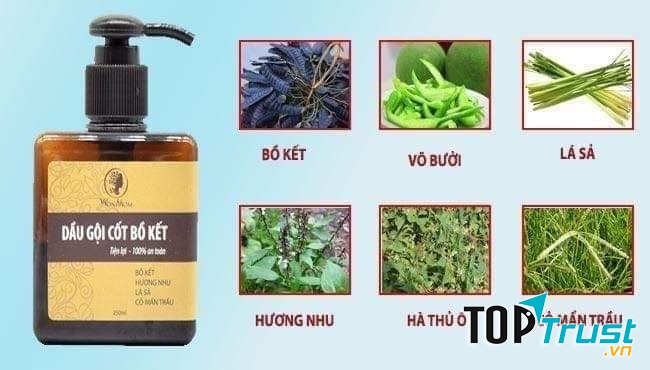 Dầu Gội Cốt Bồ Kết Trị Rụng Tóc WonMom